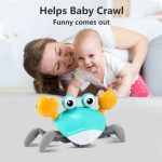 Crawling Crab Toy - Crawly Crabby Tummy Time Toys - Image 14