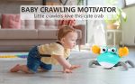Crawling Crab Toy - Crawly Crabby Tummy Time Toys - Image 16