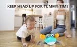 Crawling Crab Toy - Crawly Crabby Tummy Time Toys - Image 17