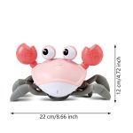 Crawling Crab Toy - Crawly Crabby Tummy Time Toys - Image 6