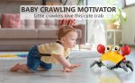 Crawling Crab Toy - Crawly Crabby Tummy Time Toys - Image 9