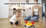 Crawling Crab Toy - Crawly Crabby Tummy Time Toys - Image 10